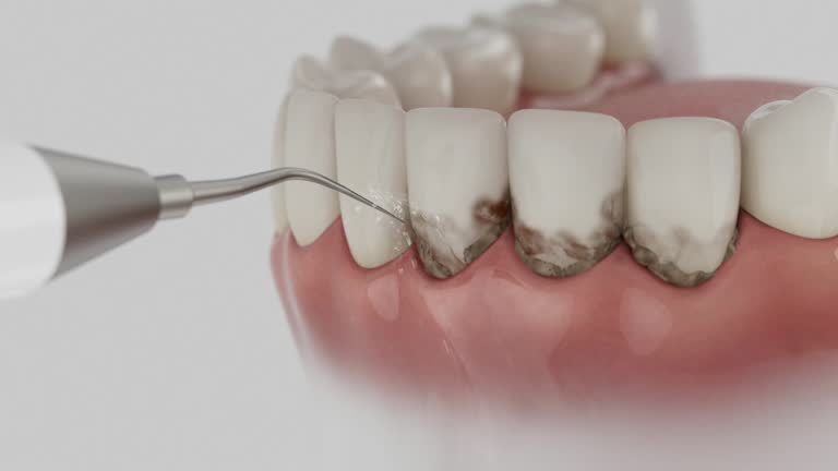 Reliable Dental contractor in Massanetta Springs, VA by Dentist Open Now